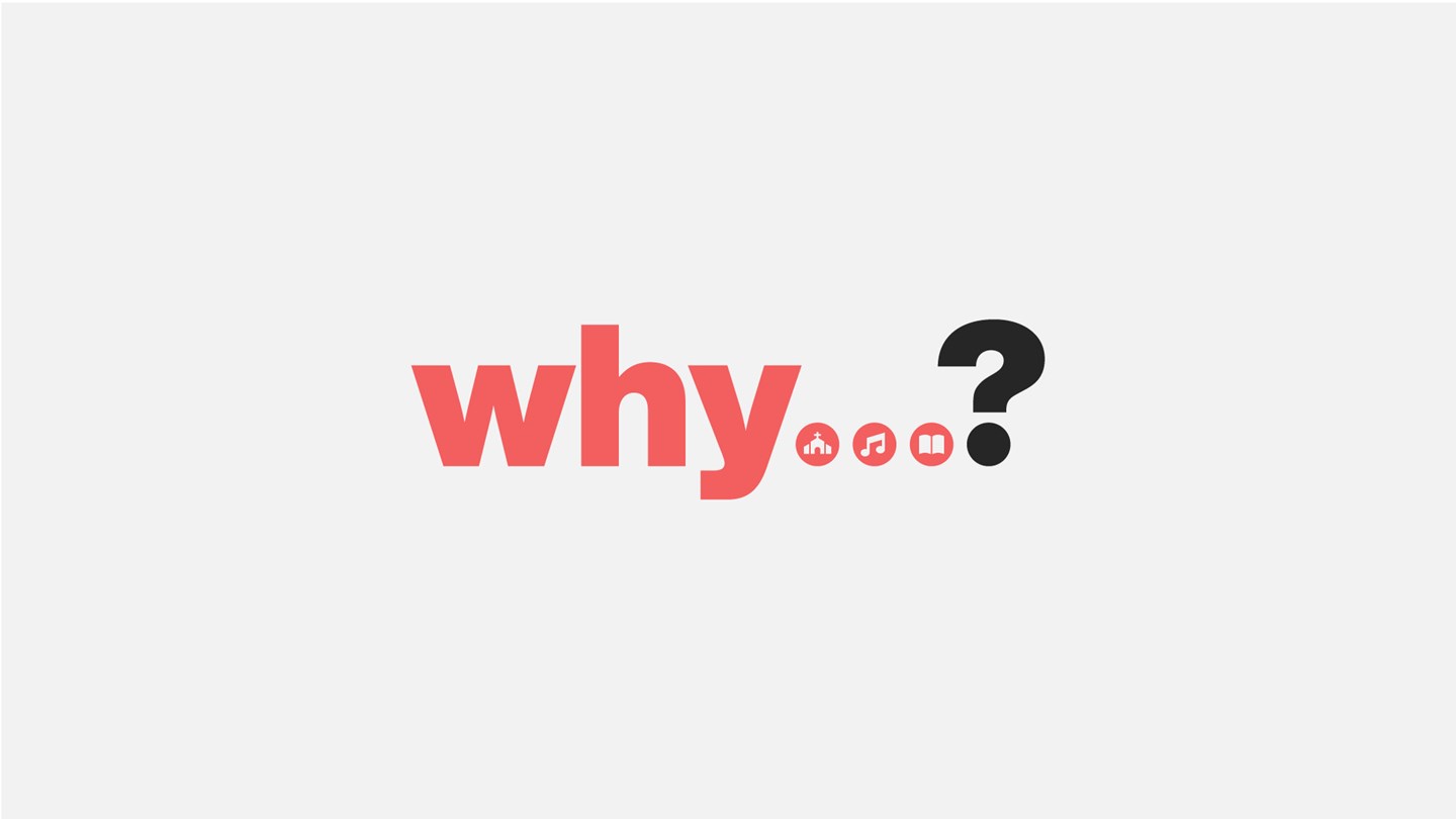 Why? Series Art