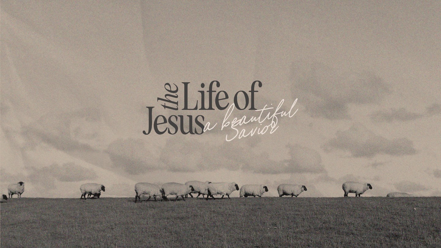 The Life of Jesus Series Art