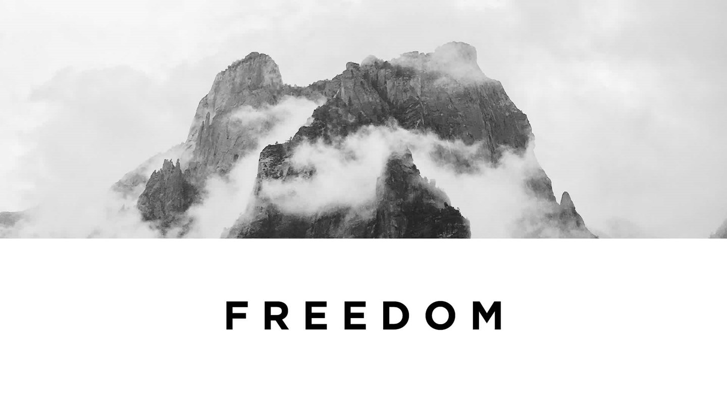 Freedom Series Art